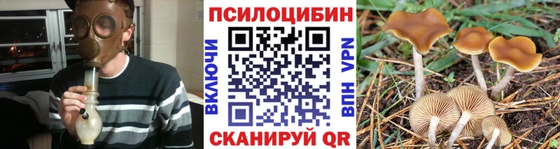 Галлюциногенные грибы мухоморы  Купить закладки  Белозерск 