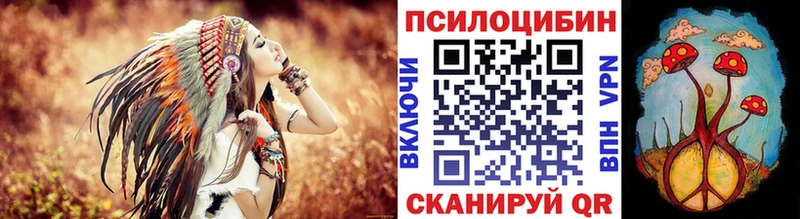 Псилоцибиновые грибы Cubensis Белозерск